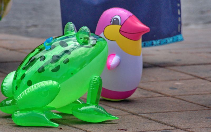 frog and bird inflatable toys on the dry pavement