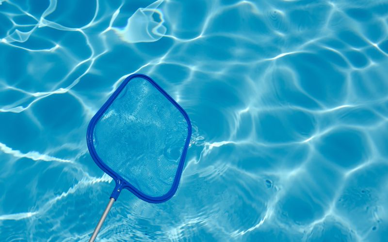 pool skimmer net